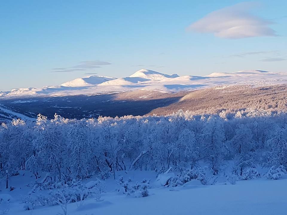 Bruksvallarna - Modern Fjaellstuga Med Panoramautsikt Och Wifi Eksteriør billede