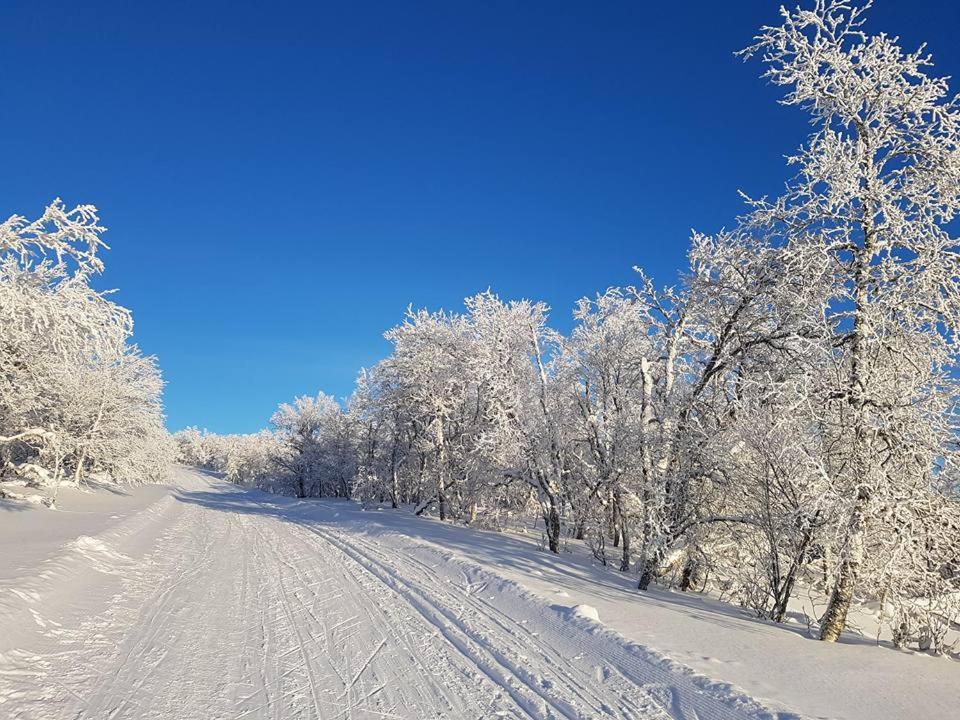 Bruksvallarna - Modern Fjaellstuga Med Panoramautsikt Och Wifi Eksteriør billede