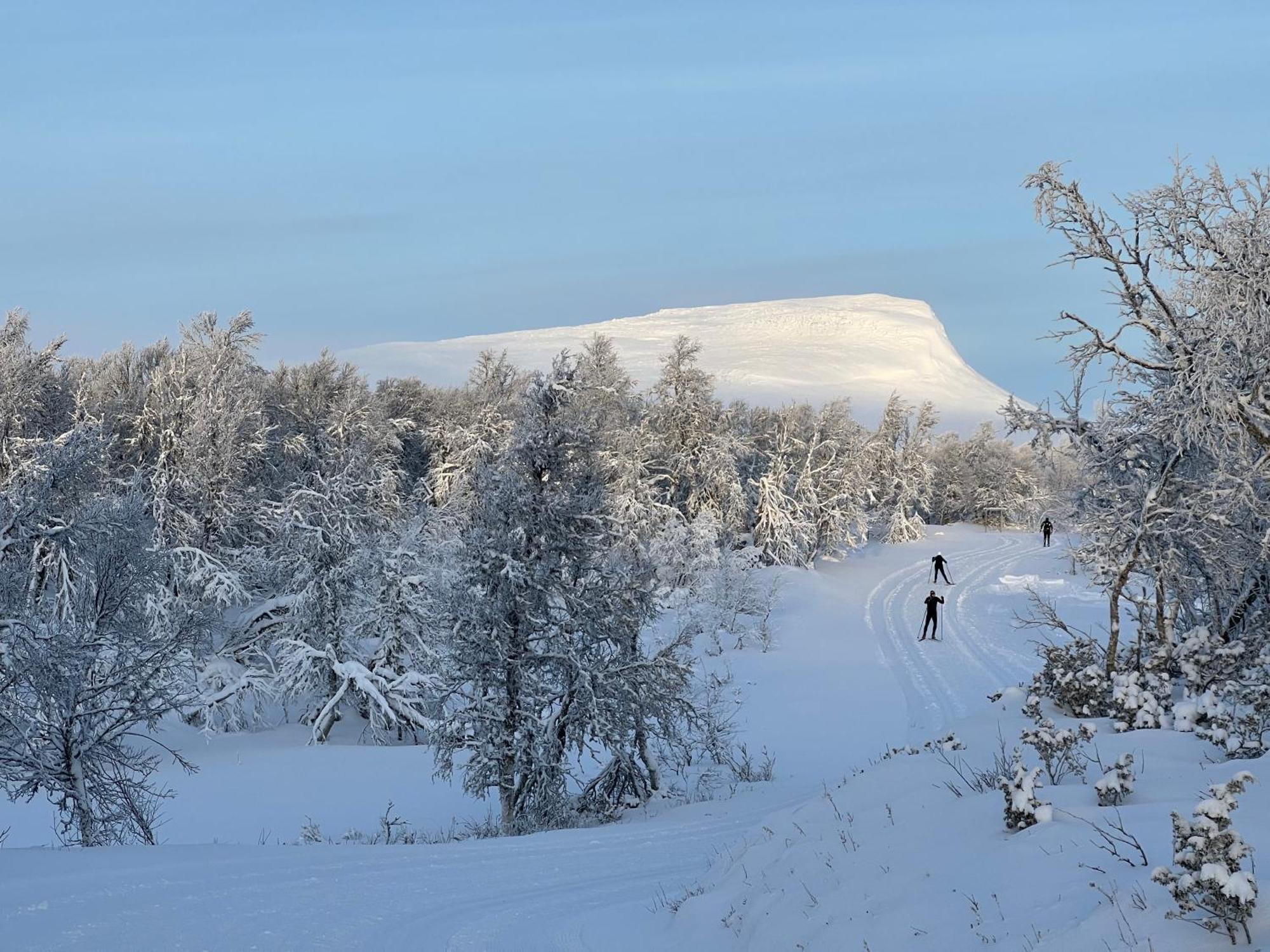 Bruksvallarna - Modern Fjaellstuga Med Panoramautsikt Och Wifi Eksteriør billede